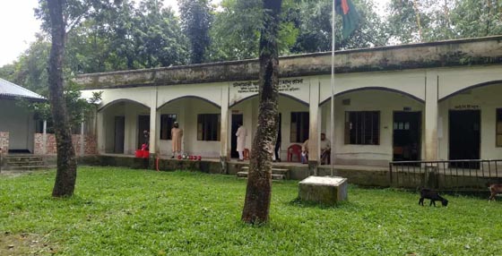 image-here